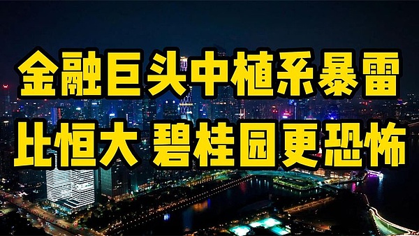 普通人如何在区块链投资中避免掉坑？这是我用真金白银换来的经验