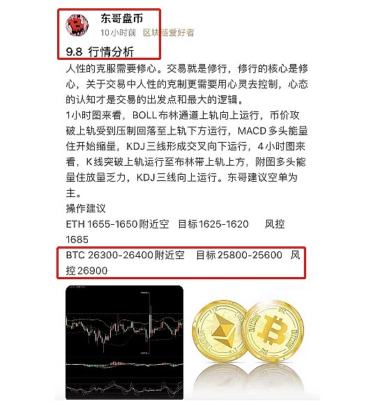 新手入门必看！Alpha Rabbit看盘工具的超实用玩法