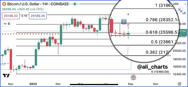 Worldcoin：一场颠覆性的金融实验还是美丽泡沫？